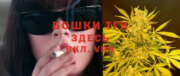 спиды Богданович