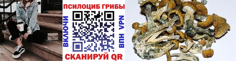 купить наркотики цена  blacksprut зеркало  Псилоцибиновые грибы мухоморы  Болохово 